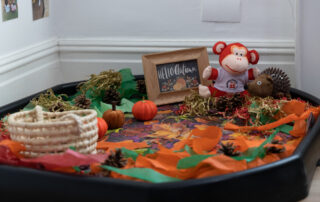 Autumn learning at Monkey Puzzle Altrincham
